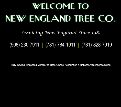 New England Tree Co.