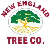 New England Tree Co.